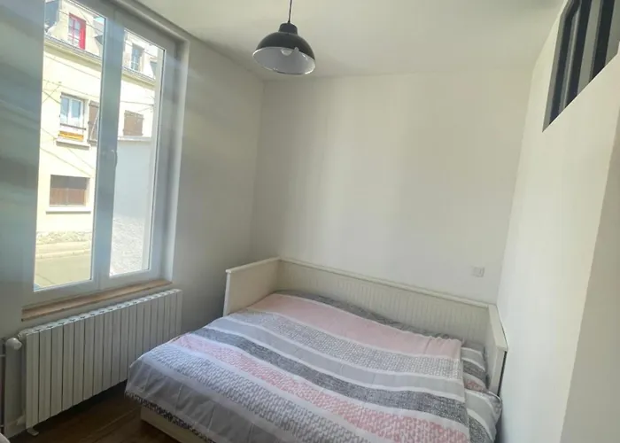 Maison & Ses 2 Chats 公寓 勒芒