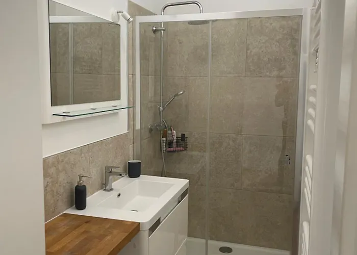 Maison & Ses 2 Chats 勒芒